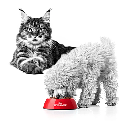 관련 캠페인 썸네일